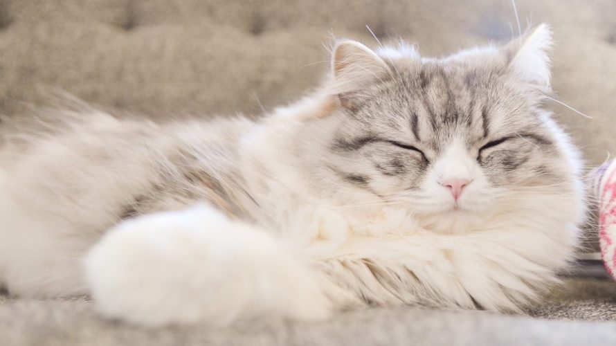 睡眠の次に疲労が回復する方法はこれです